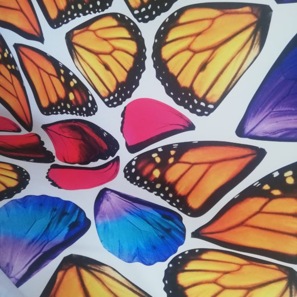 Envolée de papillons – Folie’Flore 2023