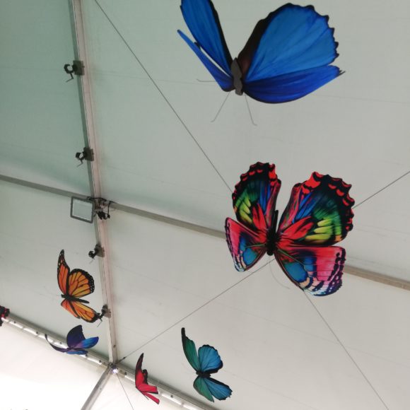 Envolée de papillons – Folie’Flore 2023