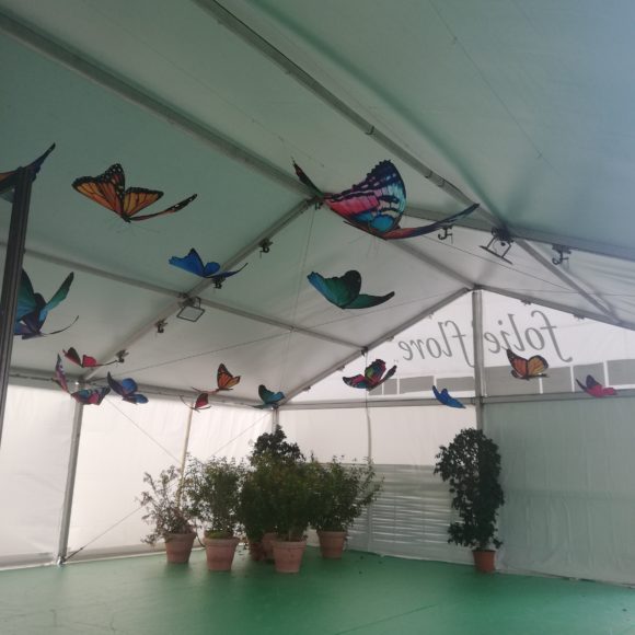 Envolée de papillons – Folie’Flore 2023
