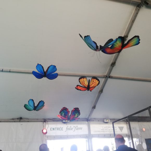 Envolée de papillons – Folie’Flore 2023