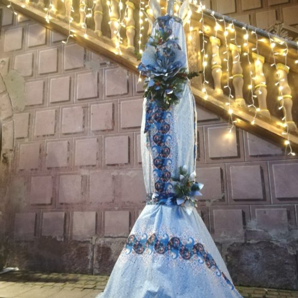 Les fleurs de Noël