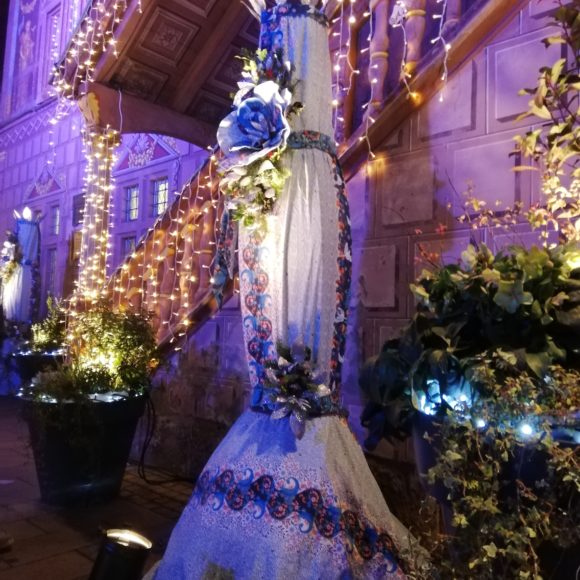 Les fleurs de Noël