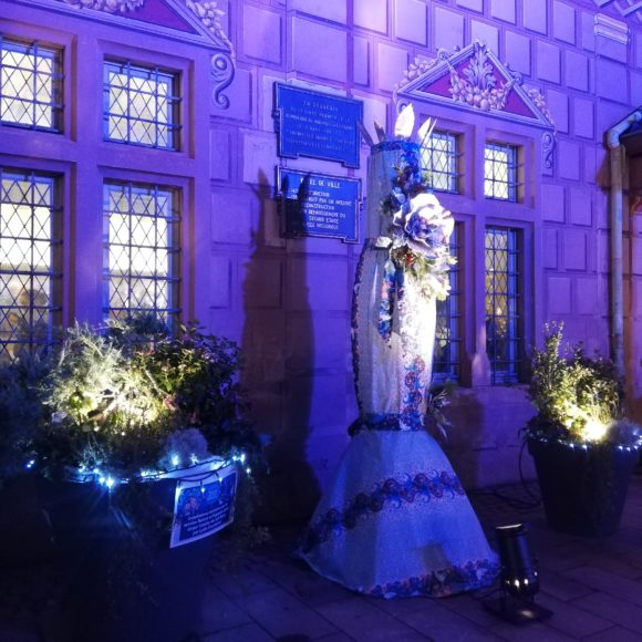 Les fleurs de Noël