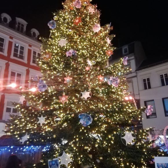 Les fleurs de Noël
