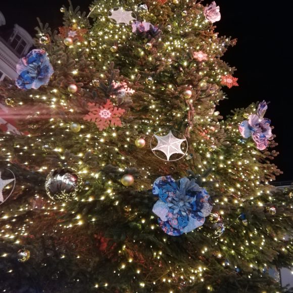 Les fleurs de Noël
