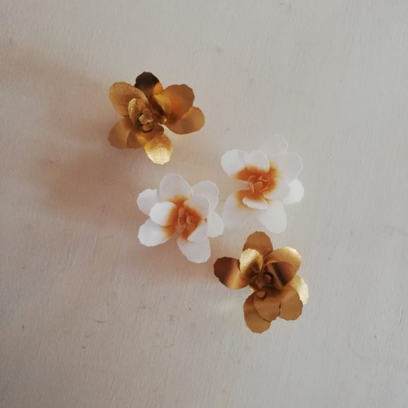 Petite fleurs de Manuka