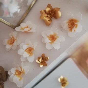 Petite fleurs de Manuka
