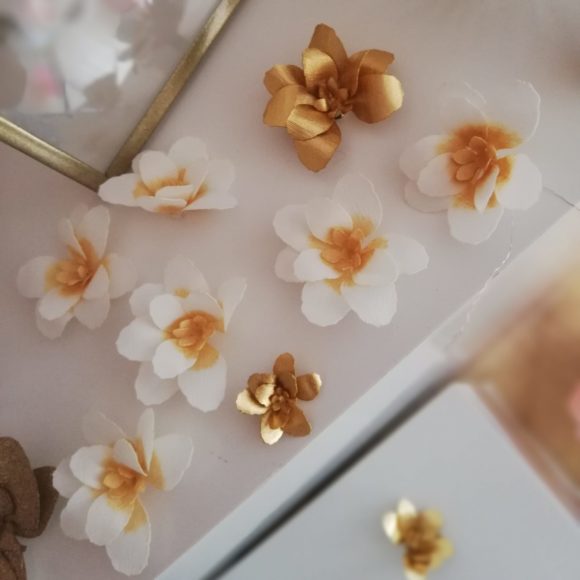 Petite fleurs de Manuka